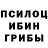Псилоцибиновые грибы ЛСД Ellen Filchak