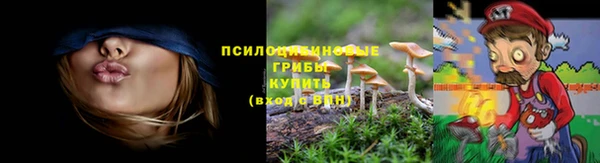 винт Армянск