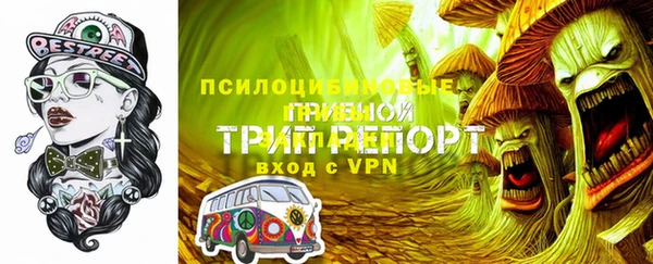 винт Армянск