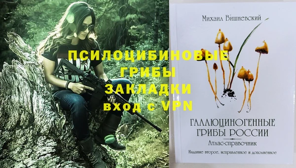 винт Армянск