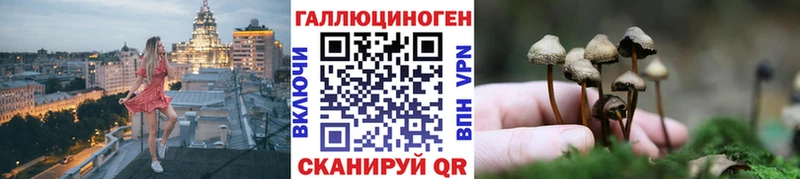 ссылка на мегу как войти  Сасово  Псилоцибиновые грибы прущие грибы 